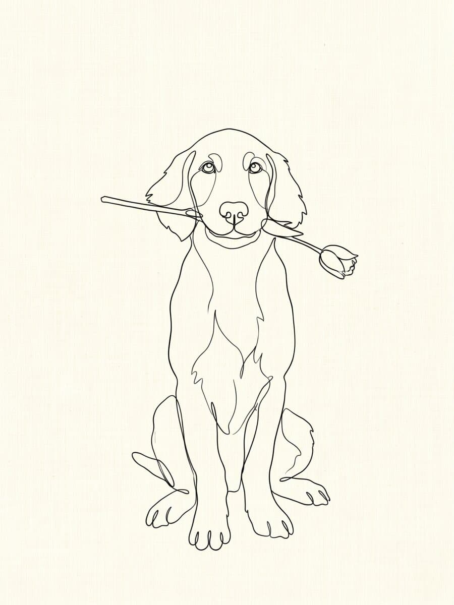 Linea · 20 × 30 cm