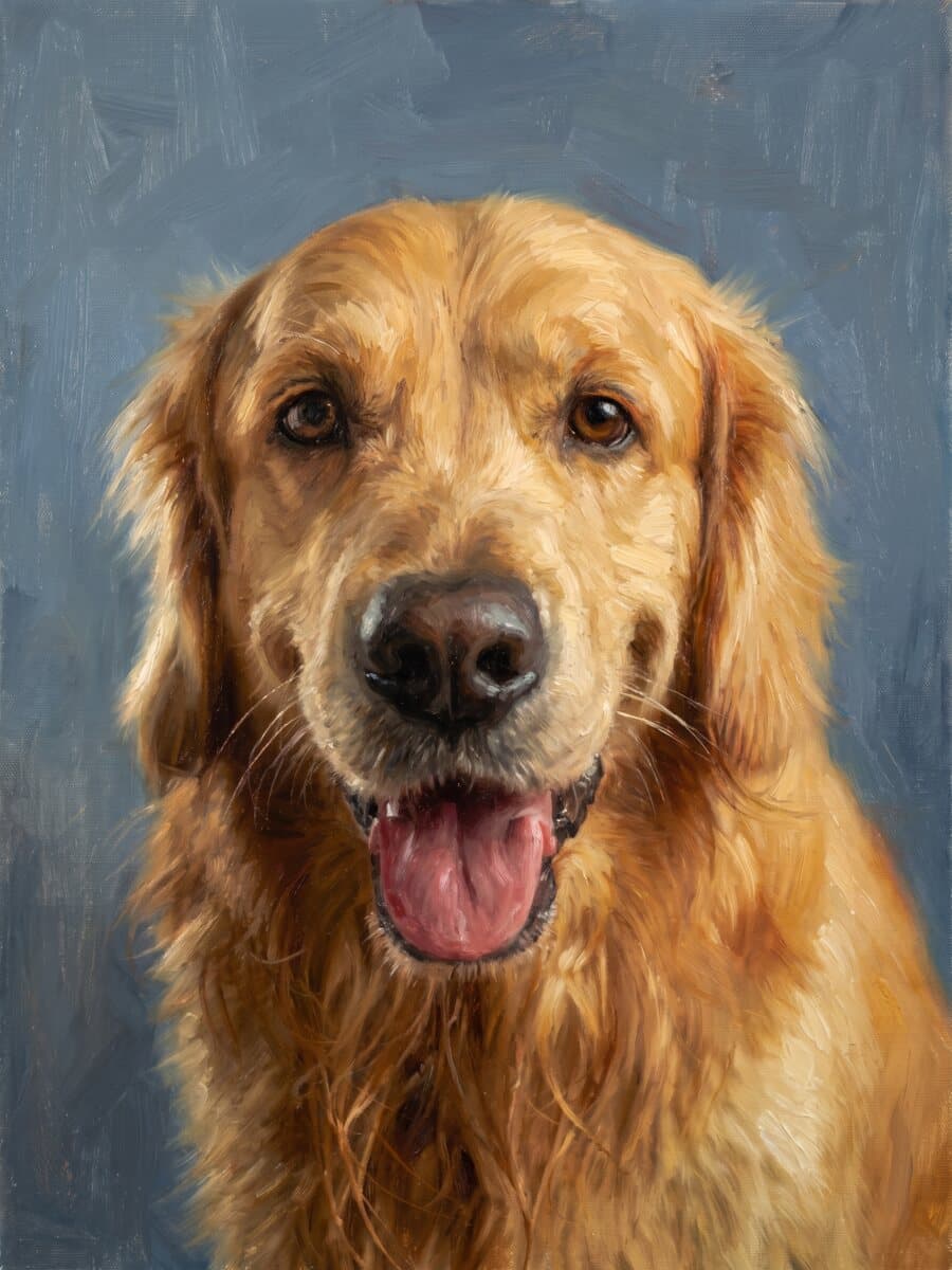 Olio classico · 50 × 70 cm